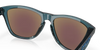 Oakley Frogskins Crystal Black