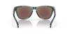 Oakley Frogskins Crystal Black