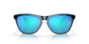 Oakley Frogskins Crystal Black