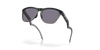 Oakley Frogskins Hybrid Grey