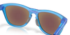 Oakley Frogskins Hybrid Sapphire